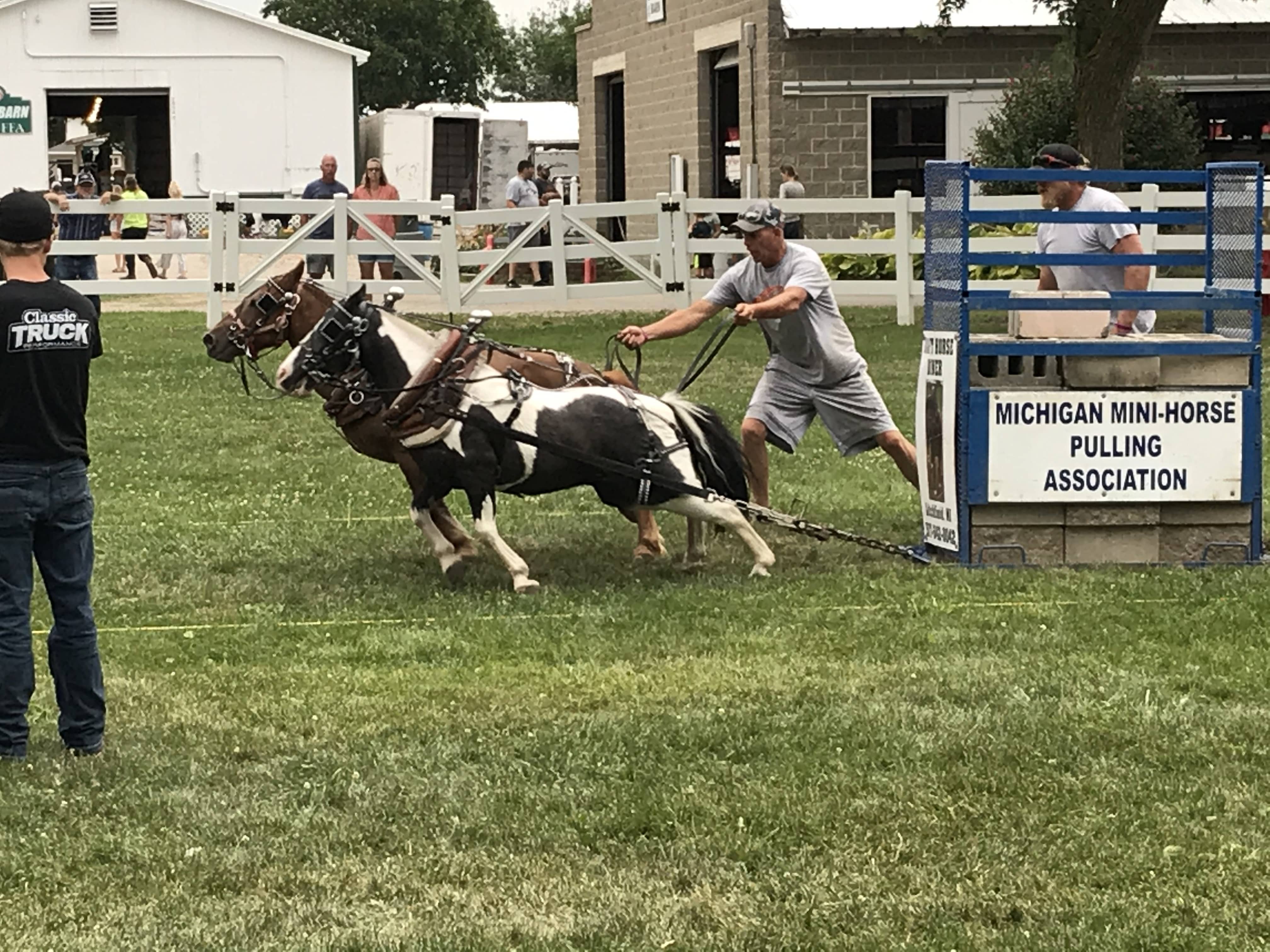 Lenawee County Fair Started Sunday with Parade and Entertainment WLEN