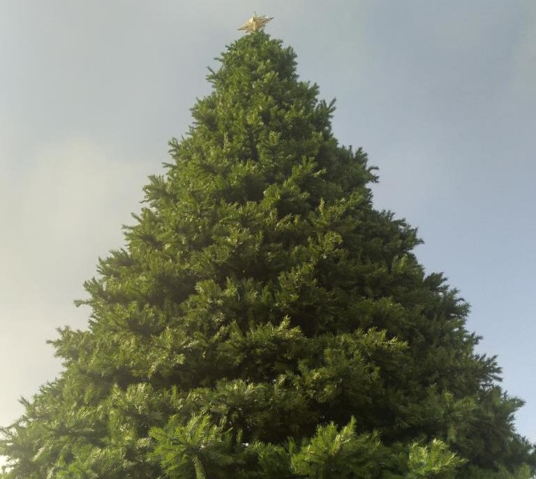 Artificial Christmas Tree Constructed at Adrians Comstock Park for the