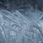 freezing-rain-winter-icicles-on-twig-formed-by-freezing-rain-c
