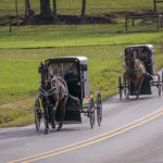 a-view-of-two-amish-horse-and-buggies-traveling-down-a-countrysi