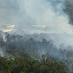 aerial-view-of-large-wildfire-burning-severely-in-florida-jungle