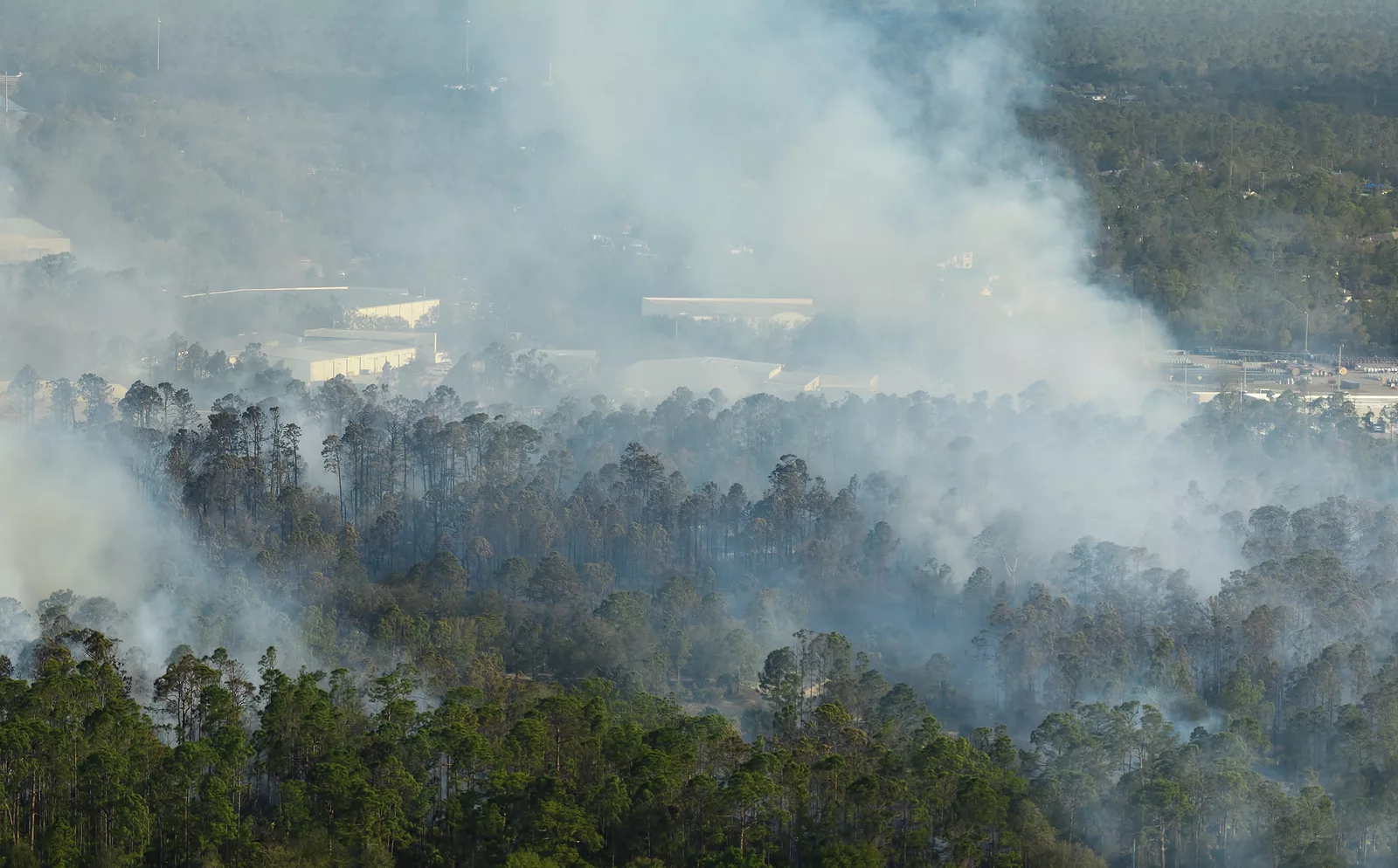 aerial-view-of-large-wildfire-burning-severely-in-florida-jungle