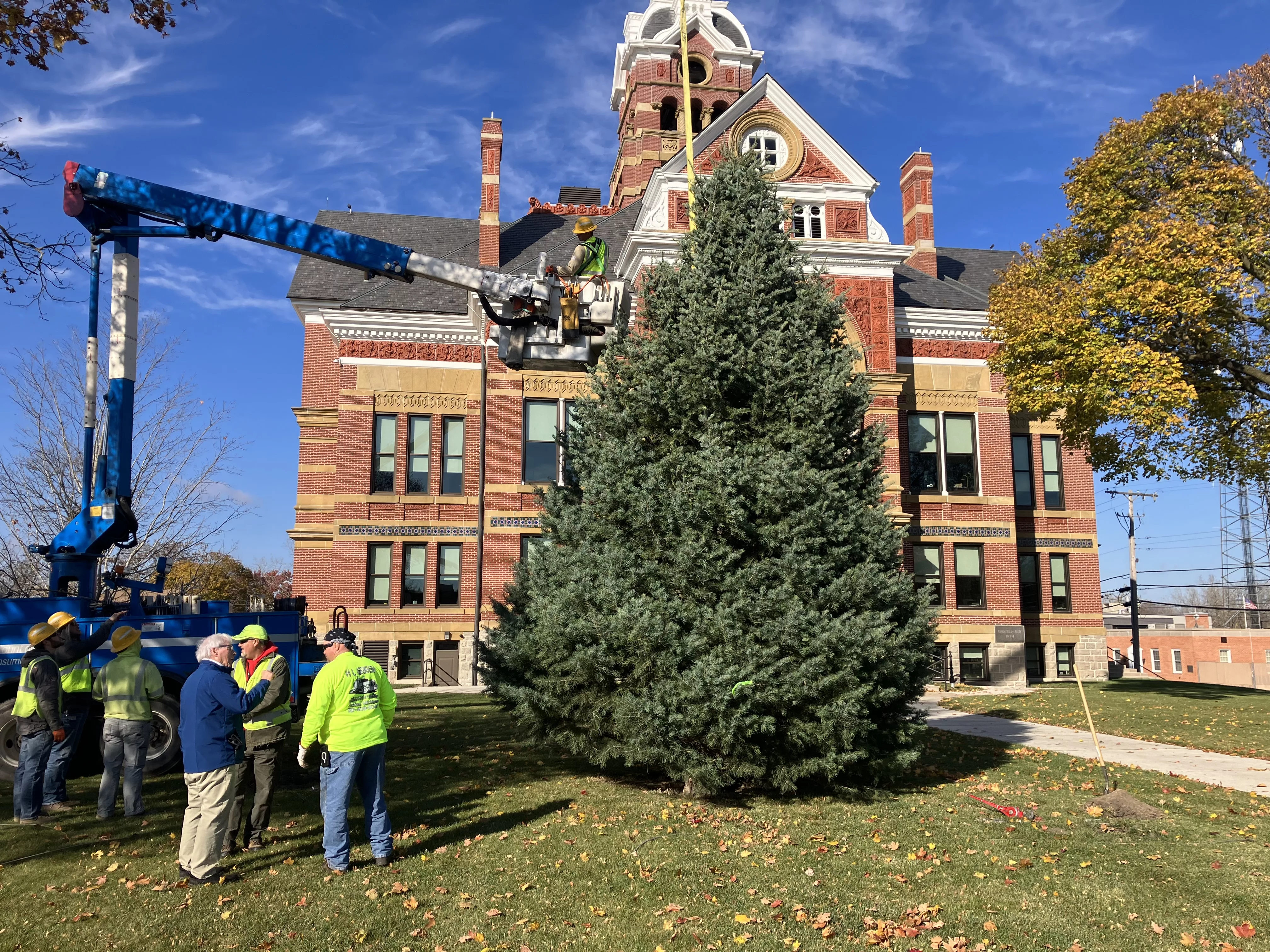 community-tree-11-9-23