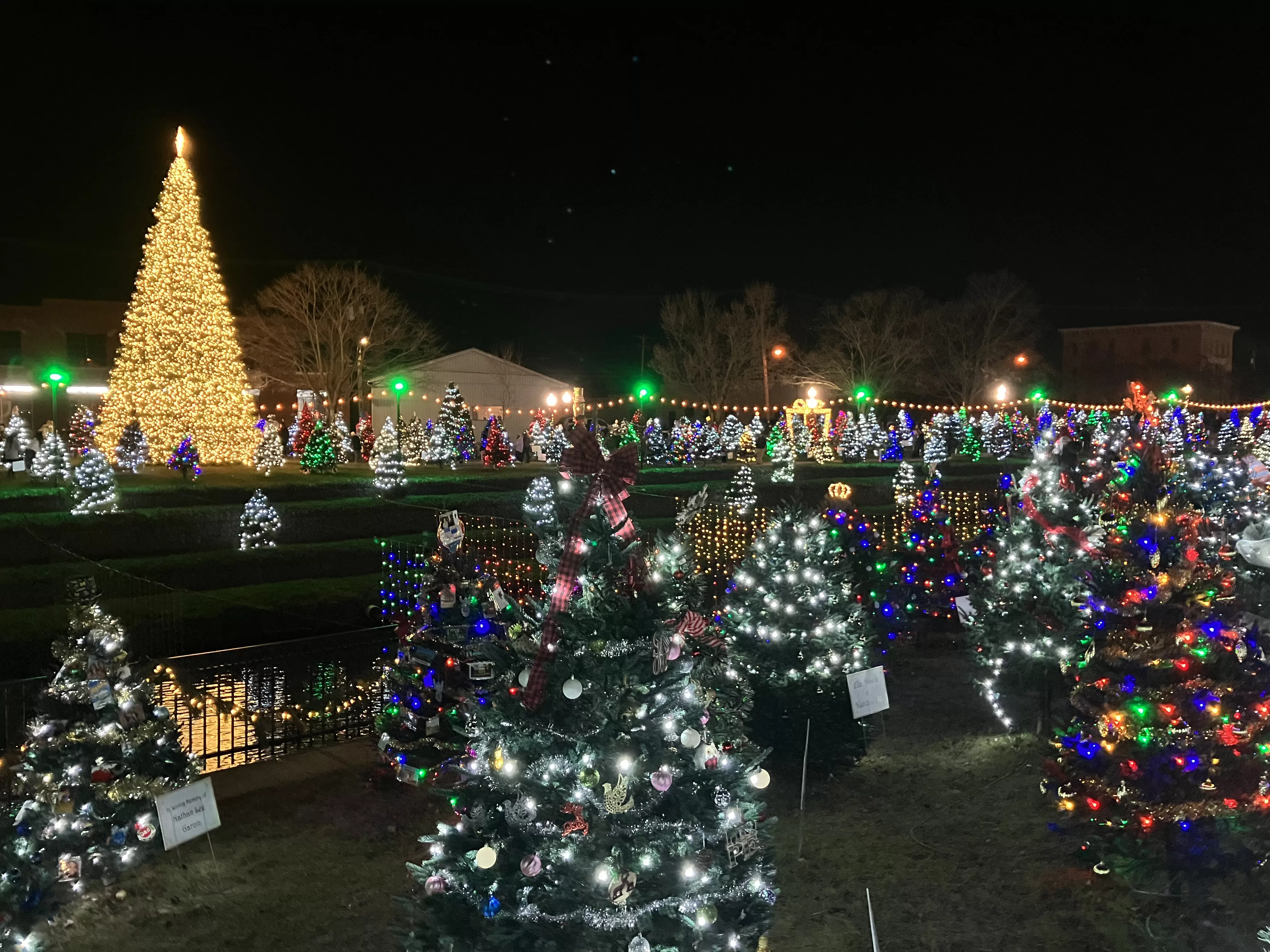 Thousands Gather for Adrian Holiday Light Christmas