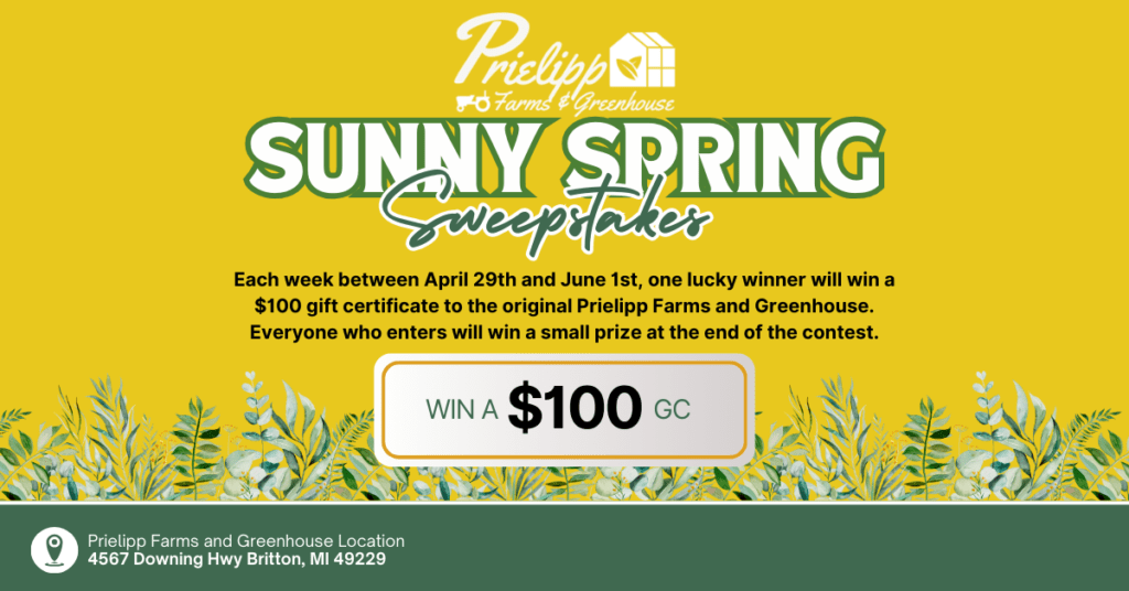 Prielipp Sunny Spring Sweepstakes Week 3 WLENFM Radio 103.9