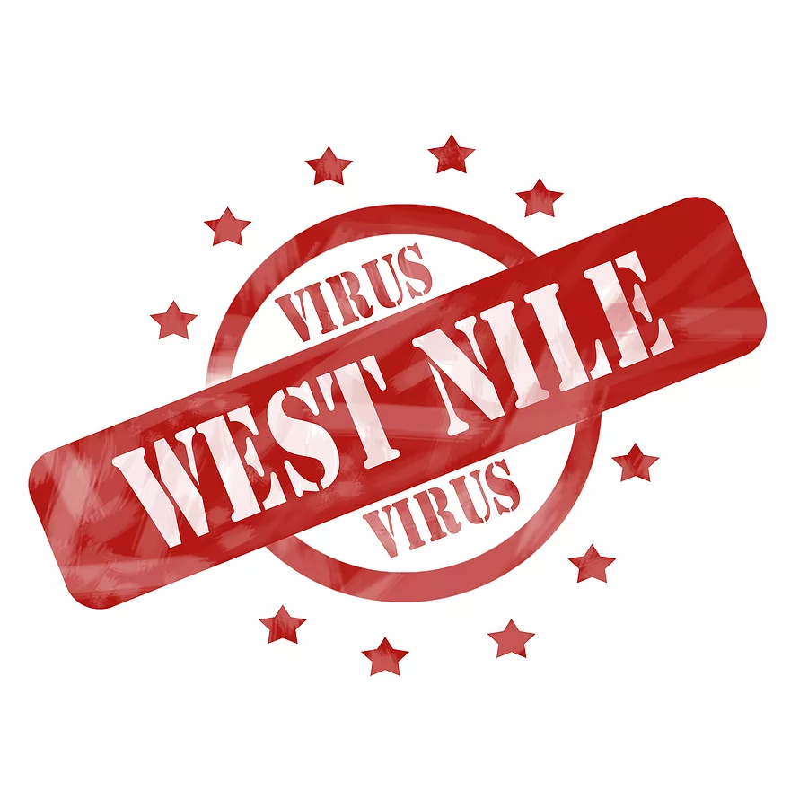 red-weathered-west-nile-virus-stamp-circle-and-stars-design