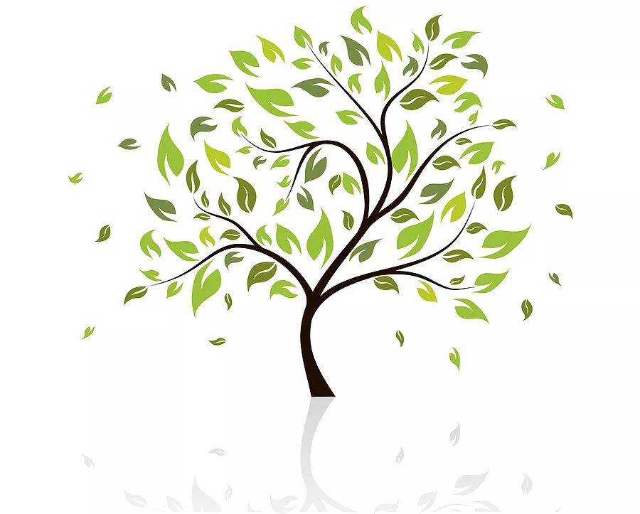 tree