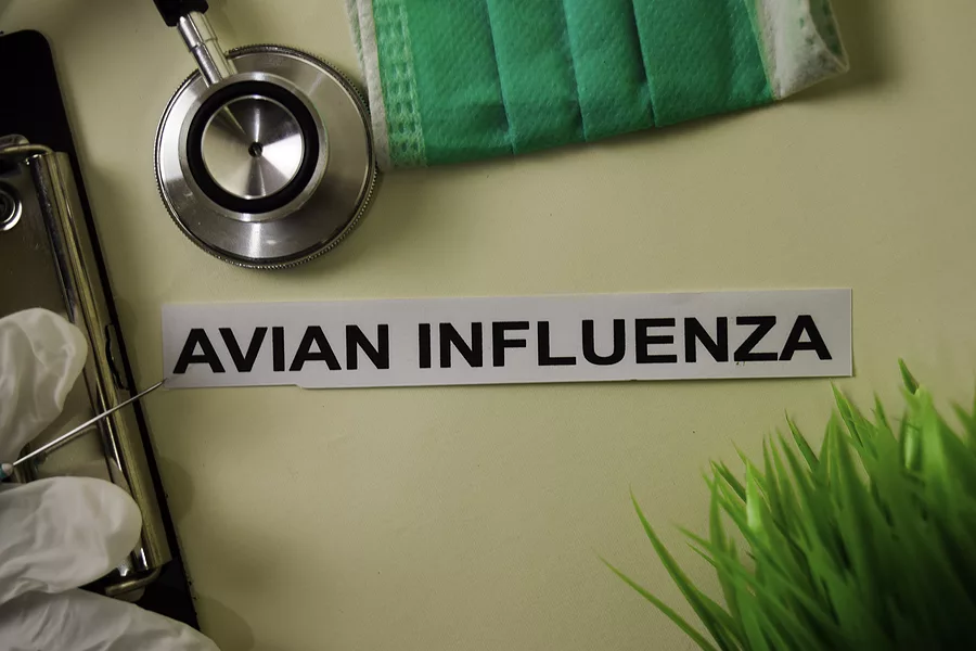 avian-influenza-with-inspiration-and-healthcare-medical-concept
