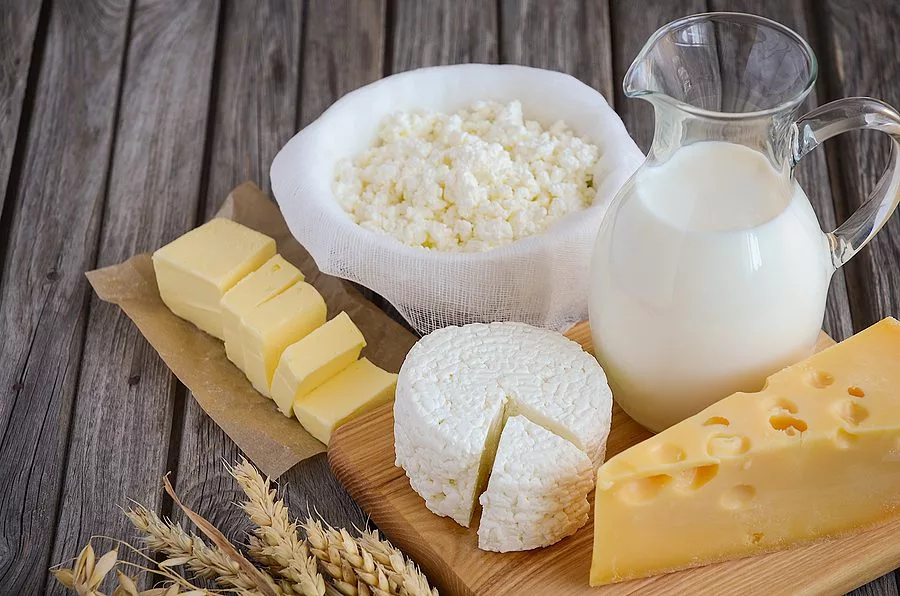fresh-dairy-products-milk-cheese-butter-and-cottage-cheese-wi