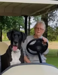 2025-04-07-12_06_48-window