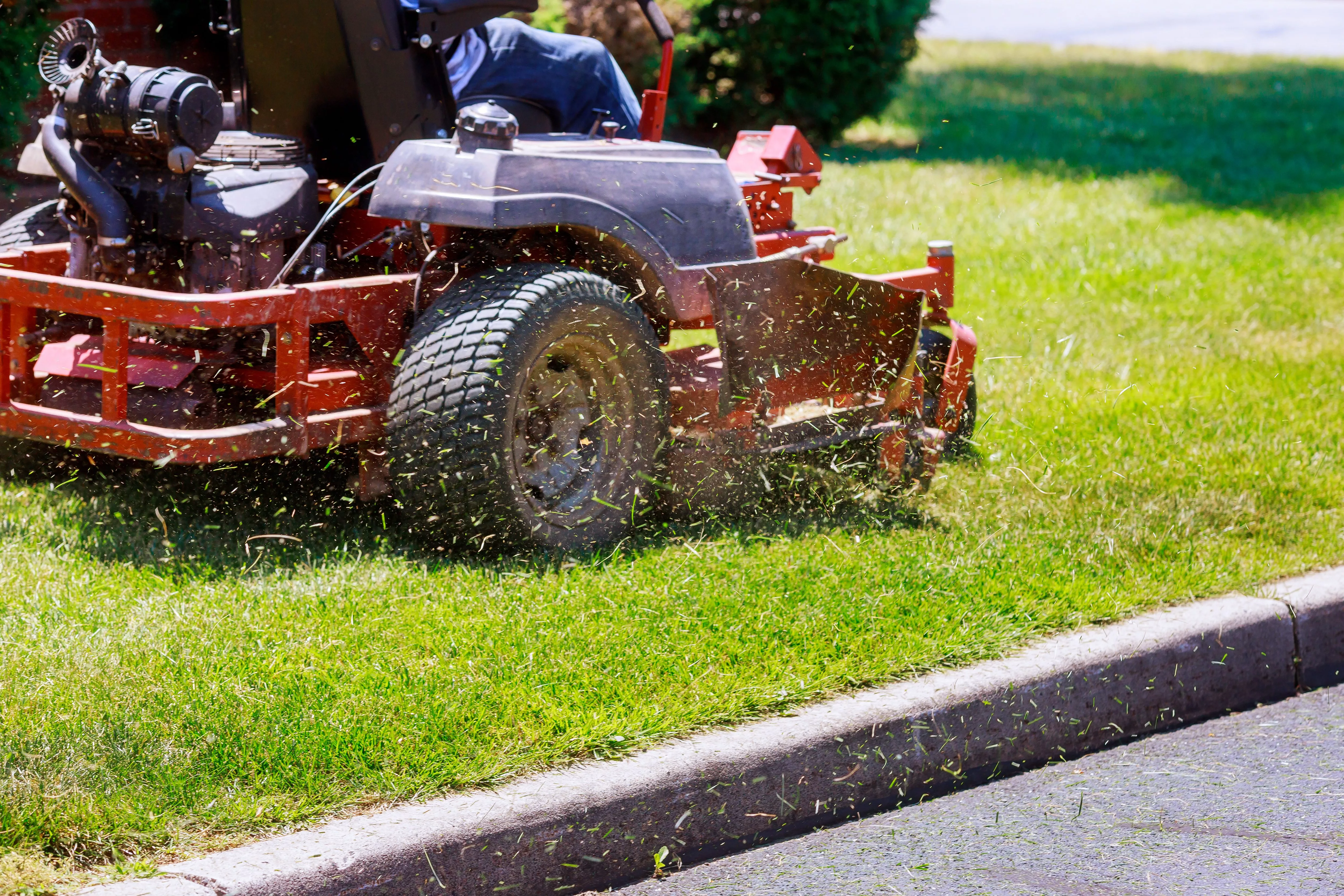 process-of-lawn-mowing-concept-of-mowing-the-lawn-lawnmower-cutting-grass-with-gardening-tools