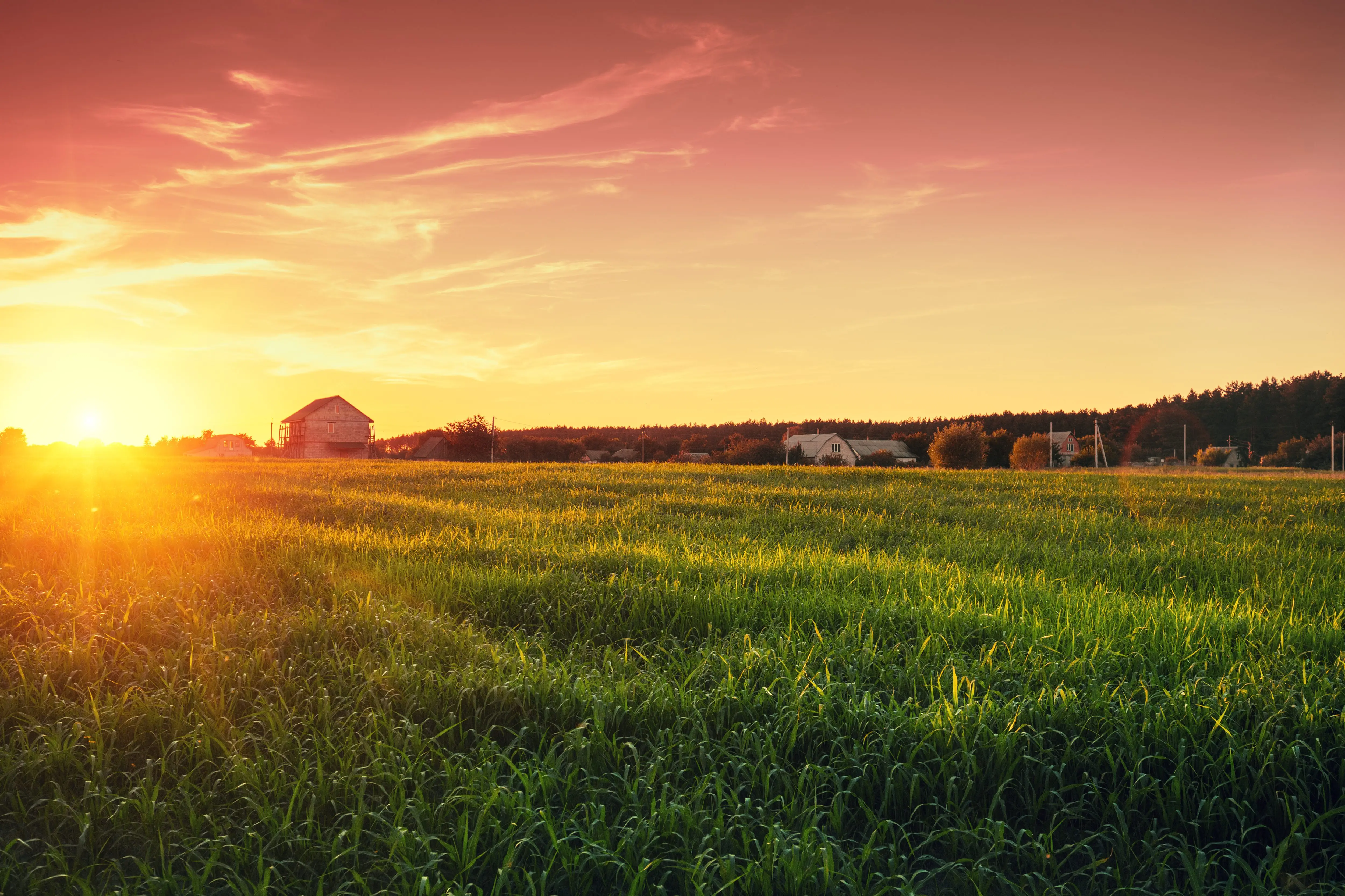 rural-landscape-with-beautiful-gradient-evening-sky-at-sunset-g