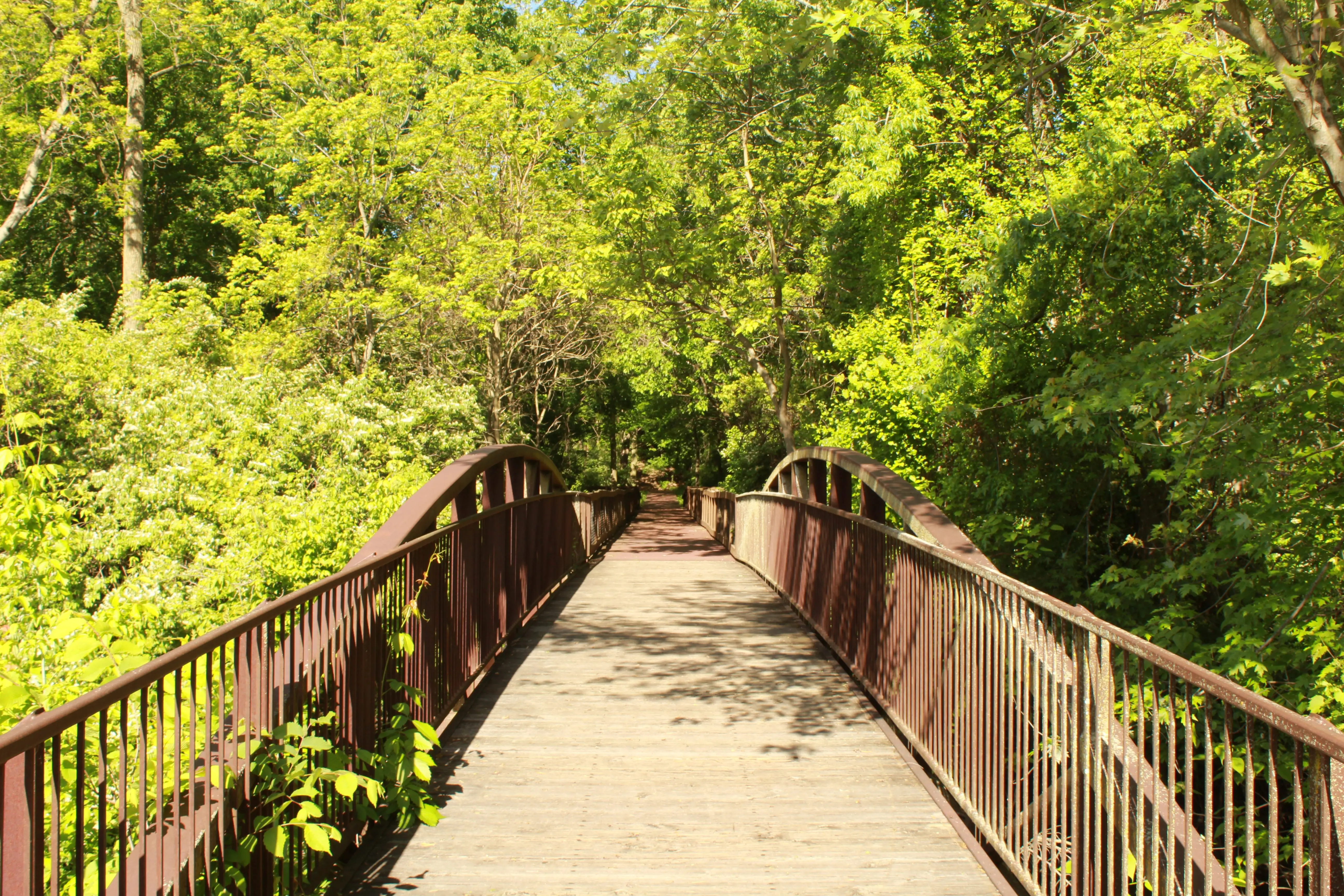 kiwanis-trail-trestle-park-nature-boardwalk-main-entrance-long-shot
