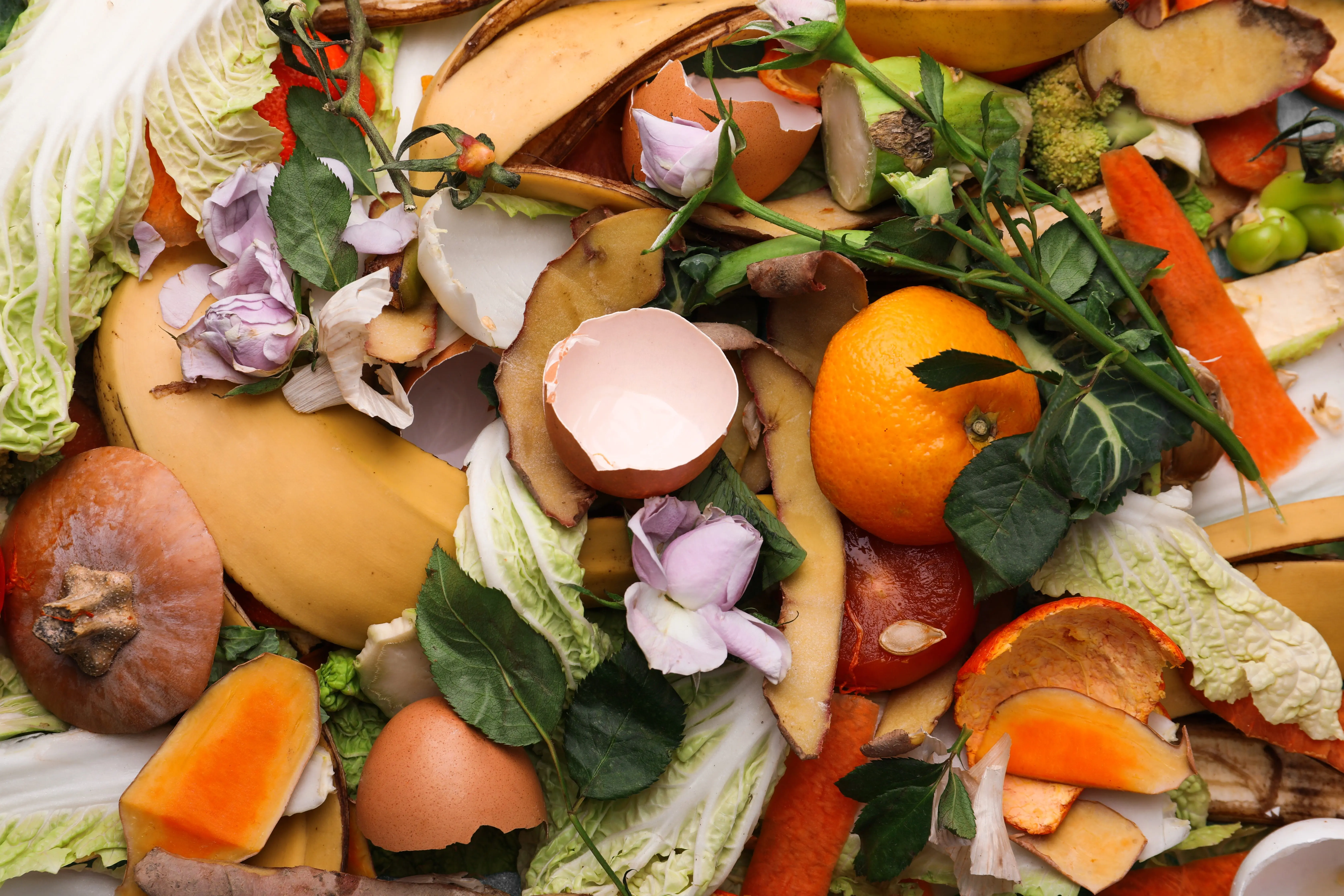 pile-of-organic-waste-for-composting-as-background-closeup