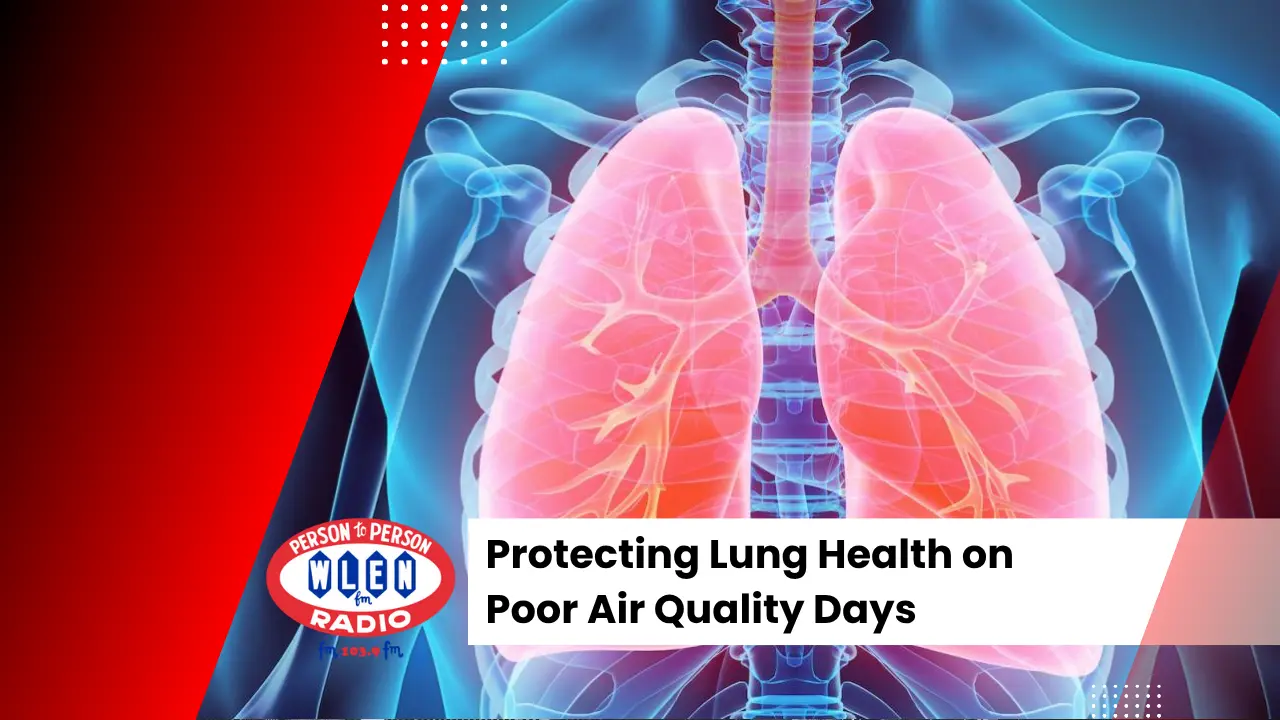 lungs