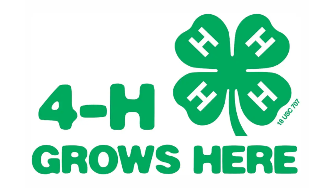 4h