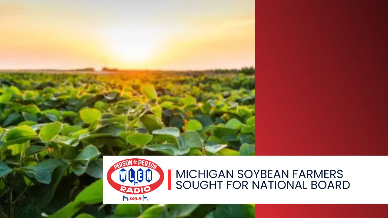 soybeans