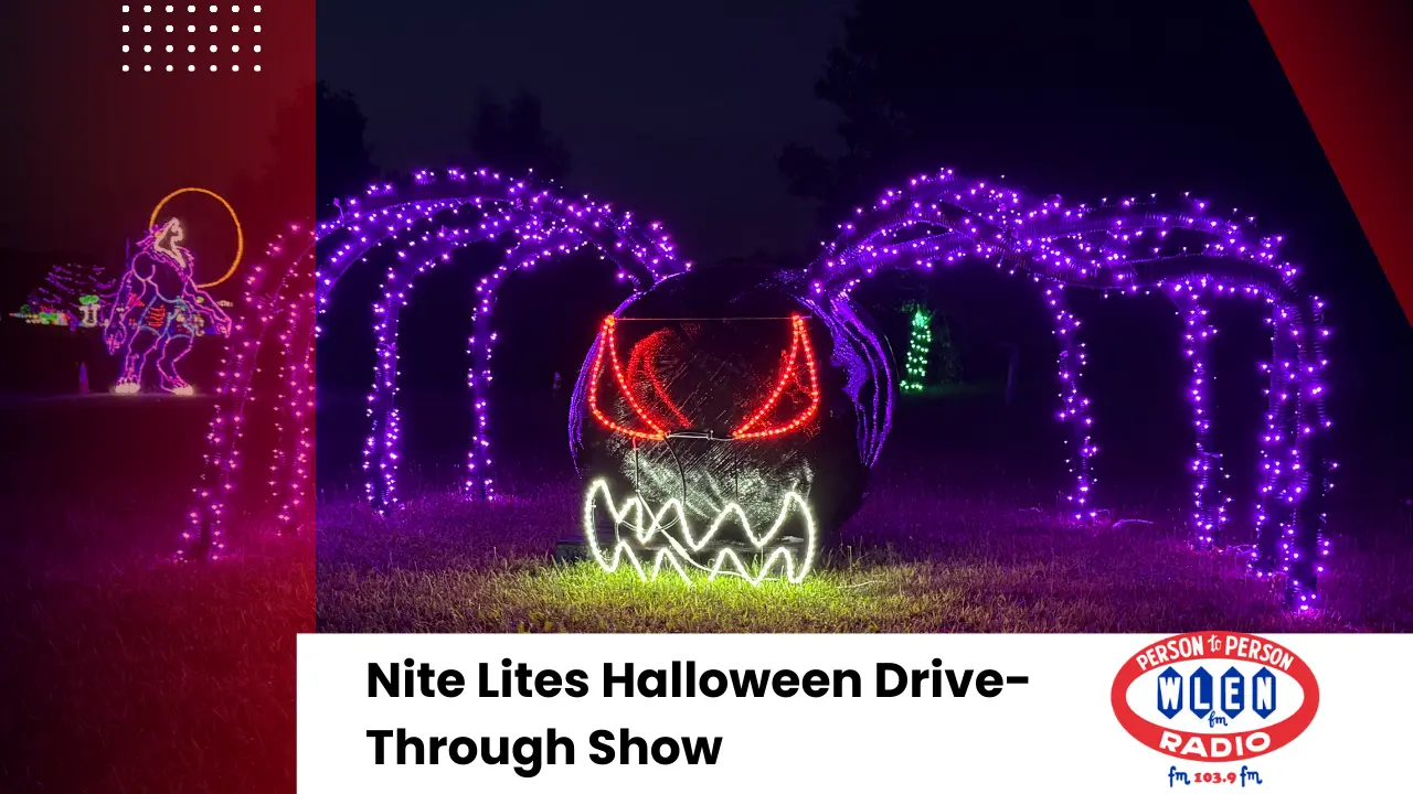 nite-lites-3