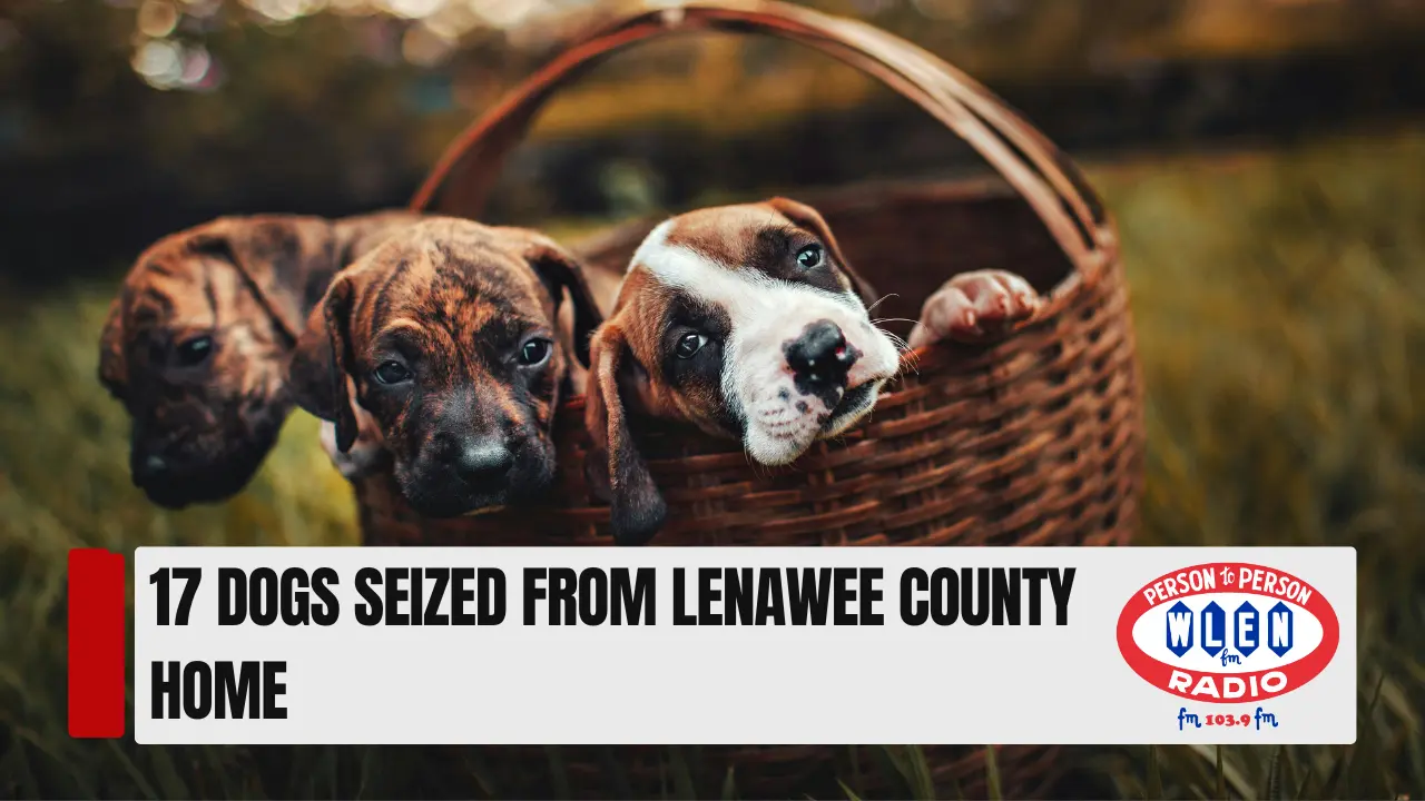 17-dogs-seized-from-lenawee-county-home