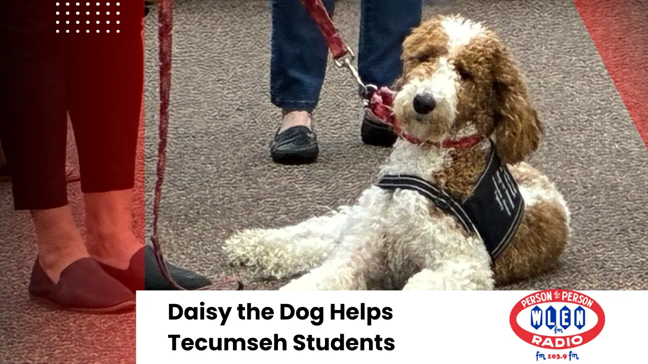 daisy-the-dog-helps-tecumseh-students
