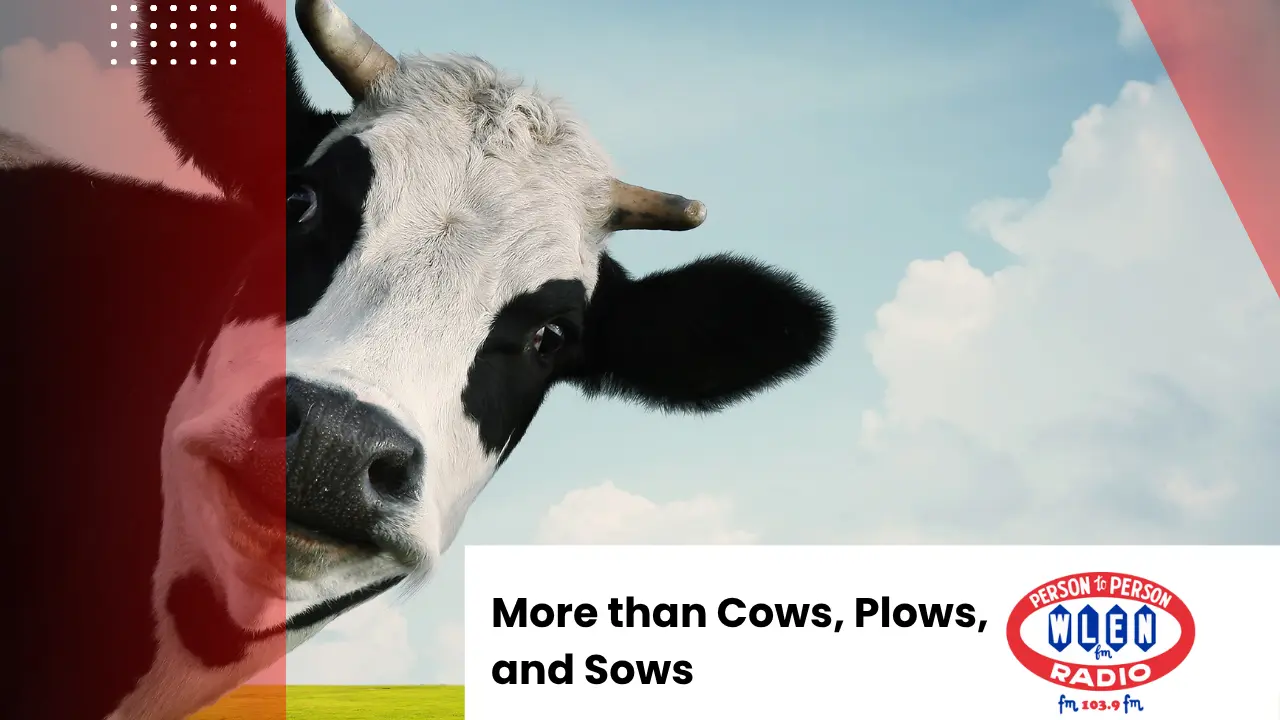 more-than-cows-plows-and-sows