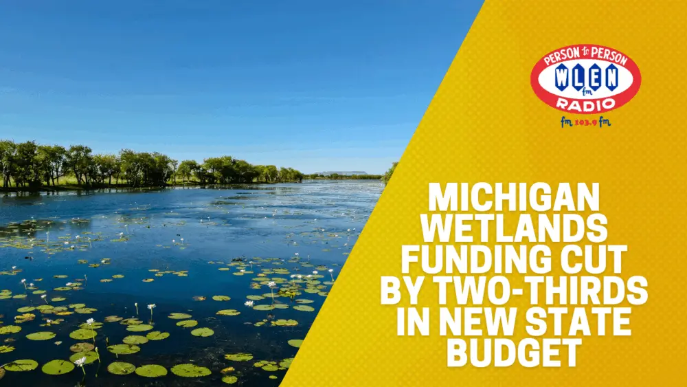 michigan-wetlands-funding-cut-by-two-thirds-in-new-state-budget