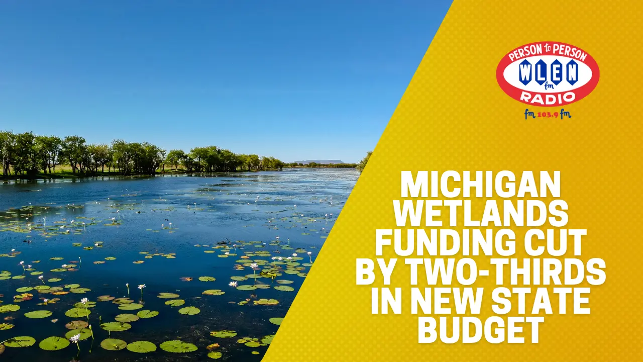 michigan-wetlands-funding-cut-by-two-thirds-in-new-state-budget