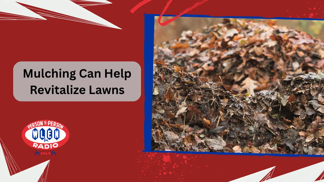 mulching-can-help-revitalize-lawns