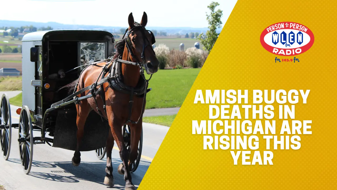 amish-buggy-deaths-in-michigan-are-rising-this-year