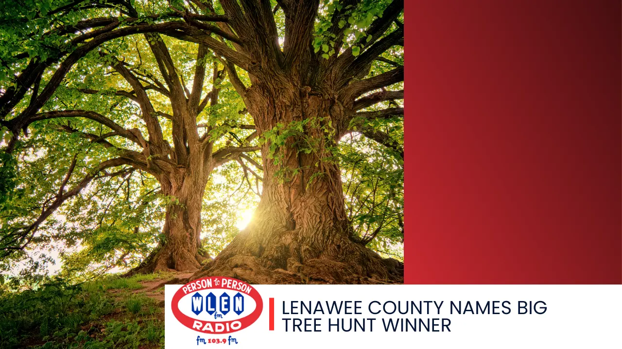 lenawee-county-names-big-tree-hunt-winner