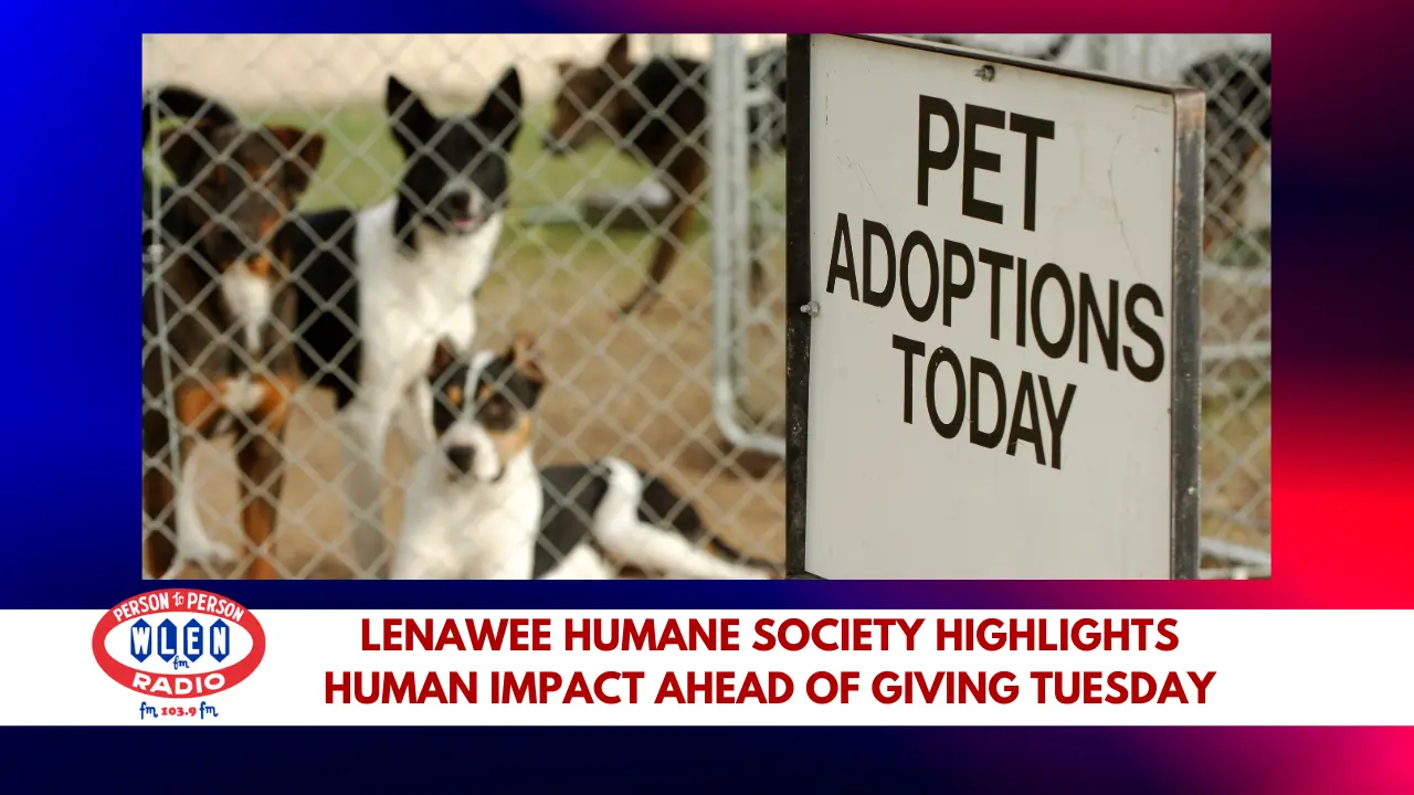 lenawee-humane-society-highlights-human-impact-ahead-of-giving-tuesday