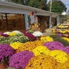 2025-12-08-12_50_50-jerry-willard-emery-obituary-visitation-funeral-information