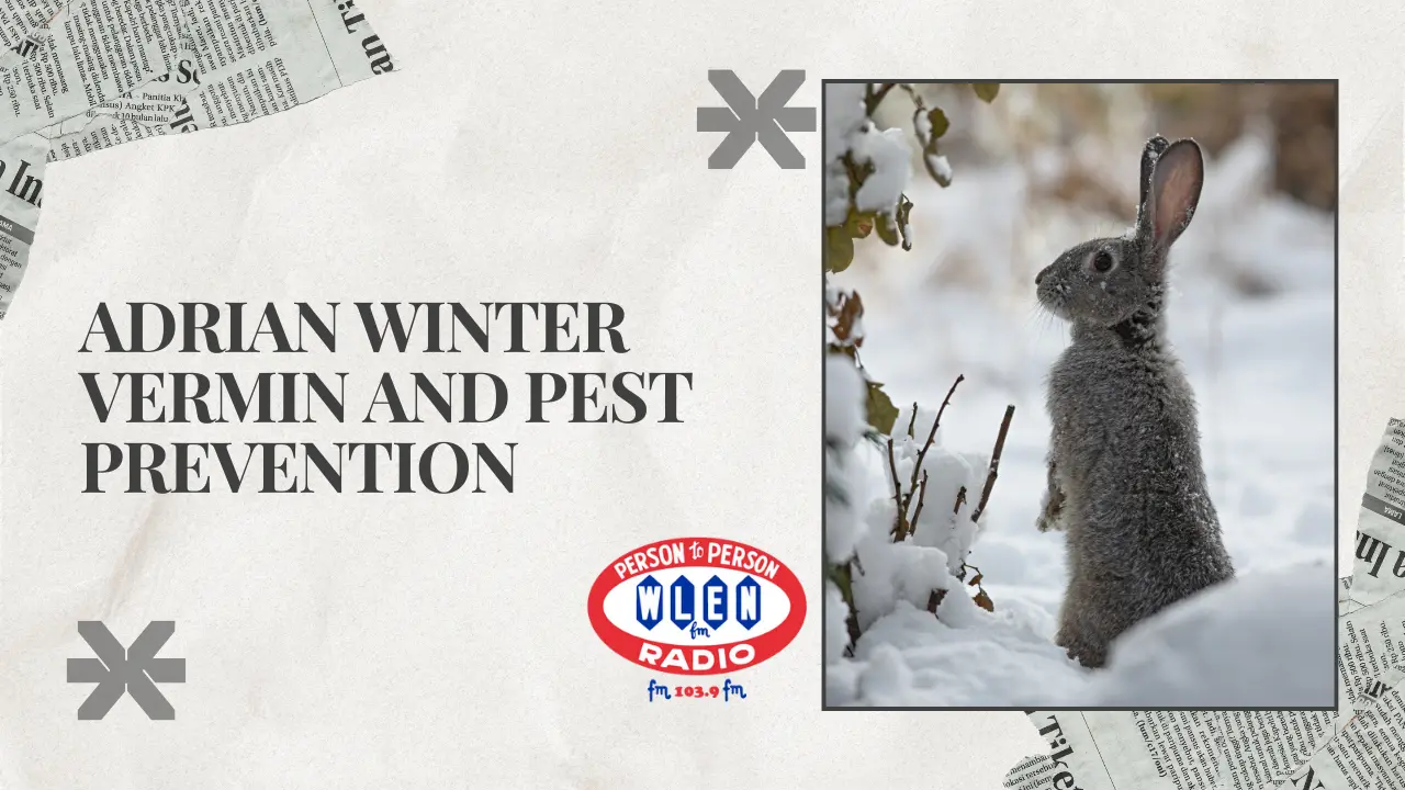 adrian-winter-vermin-and-pest-prevention