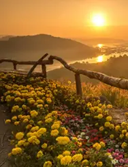 2026-01-05-12_32_58-window