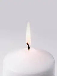 2026-01-29-12_06_25-window