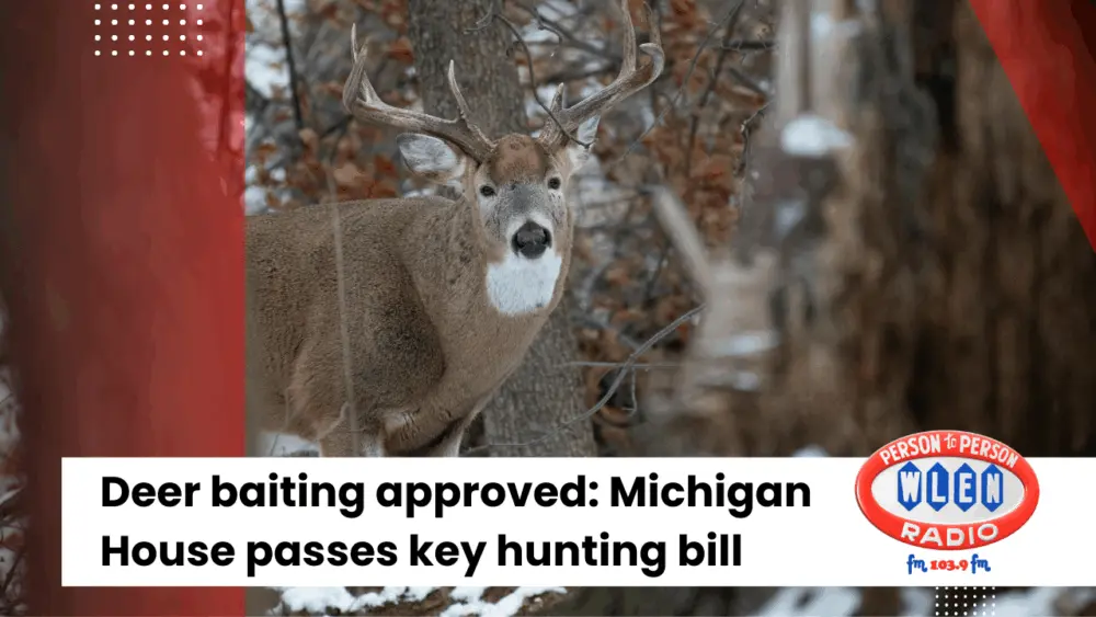 deer-baiting-approved-michigan-house-passes-key-hunting-bill