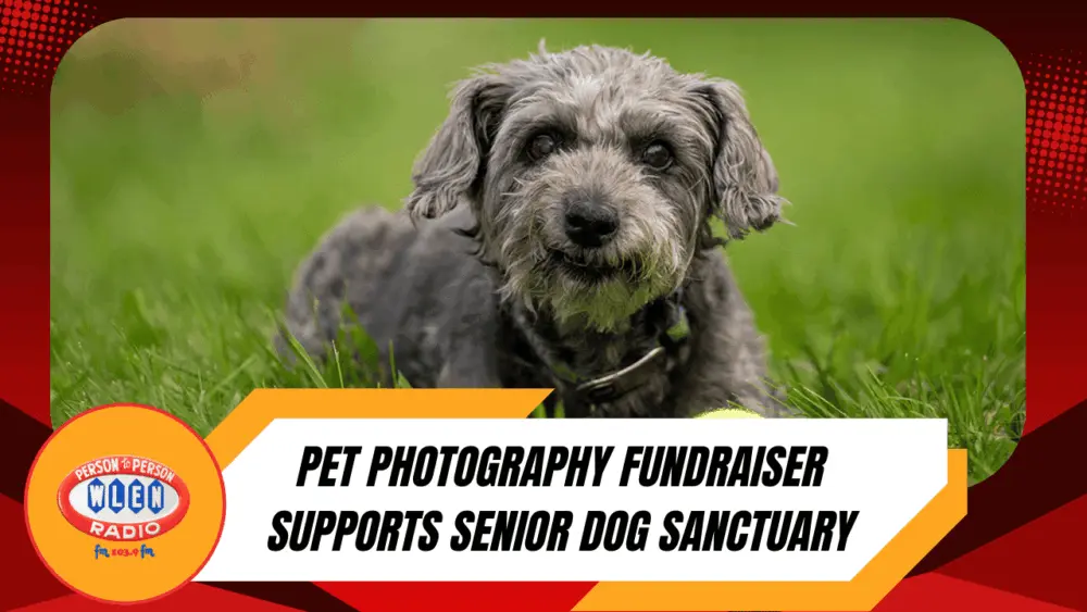 pet-photography-fundraiser-supports-senior-dog-sanctuary-a