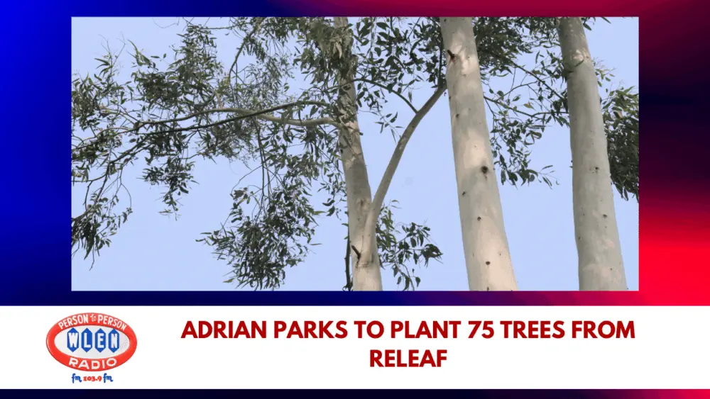 adrian-parks-to-plant-75-trees-from-releaf