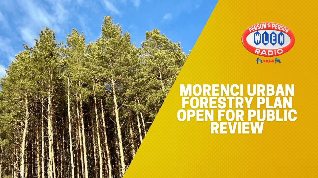 morenci-urban-forestry-plan-open-for-public-review