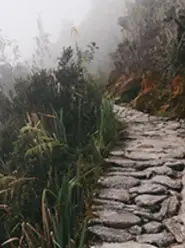 2026-03-10-12_52_00-obituary-information-for-gabriel-dezzo-dull