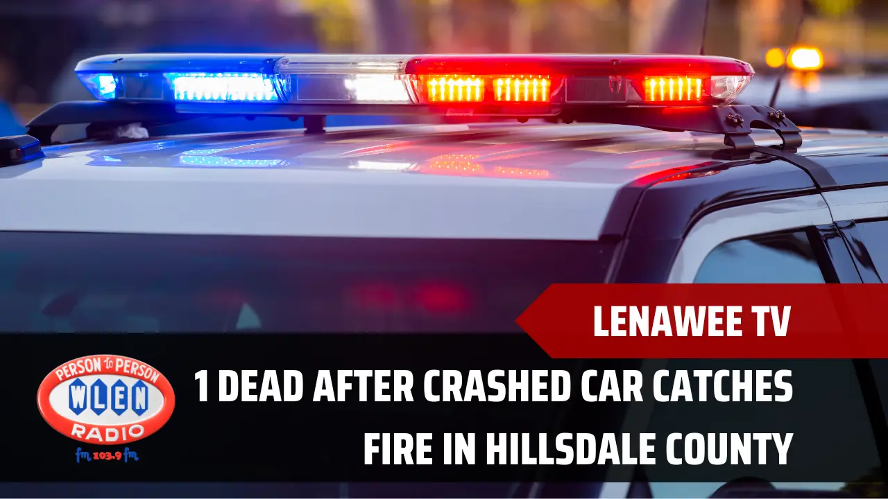 1-dead-after-crashed-car-catches-fire-in-hillsdale-county