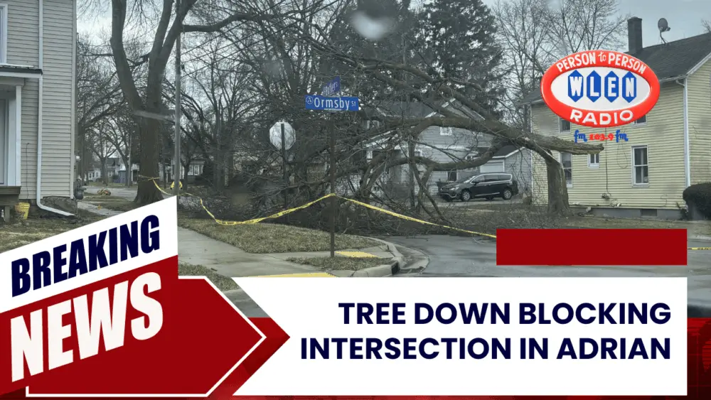 tree-down-blocking-intersection-in-adrian-2