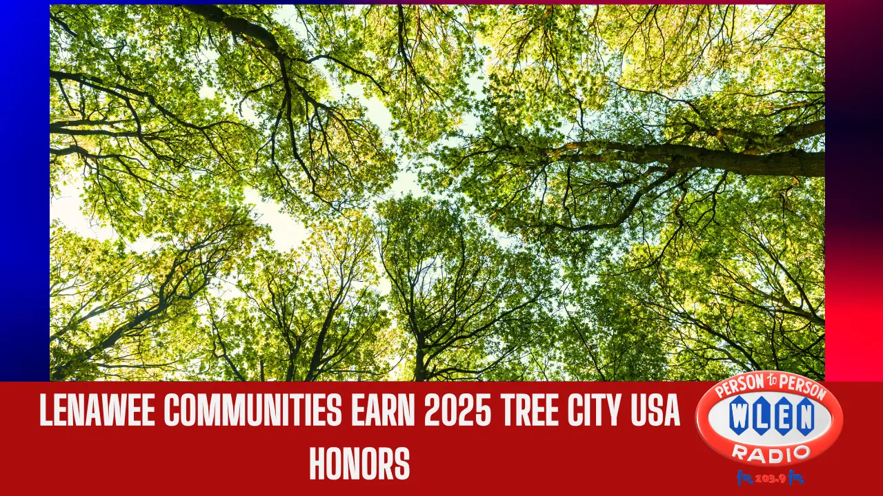 lenawee-communities-earn-2025-tree-city-usa-honors