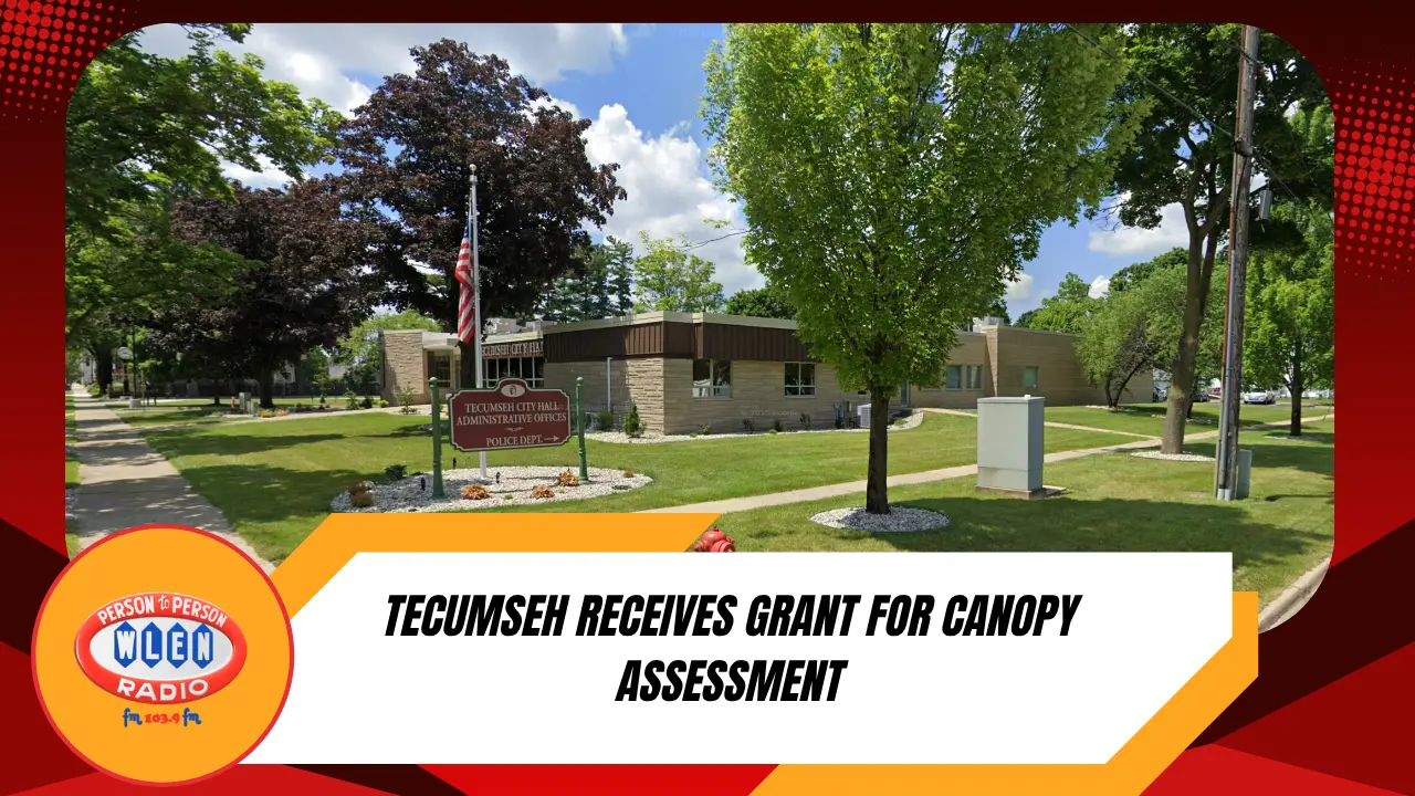 tecumseh-receives-grant-for-canopy-assessment
