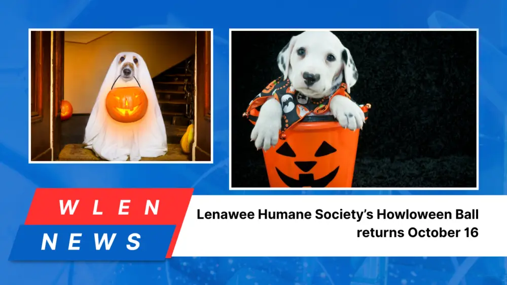 lenawee-humane-societys-howloween-ball-returns-october-16