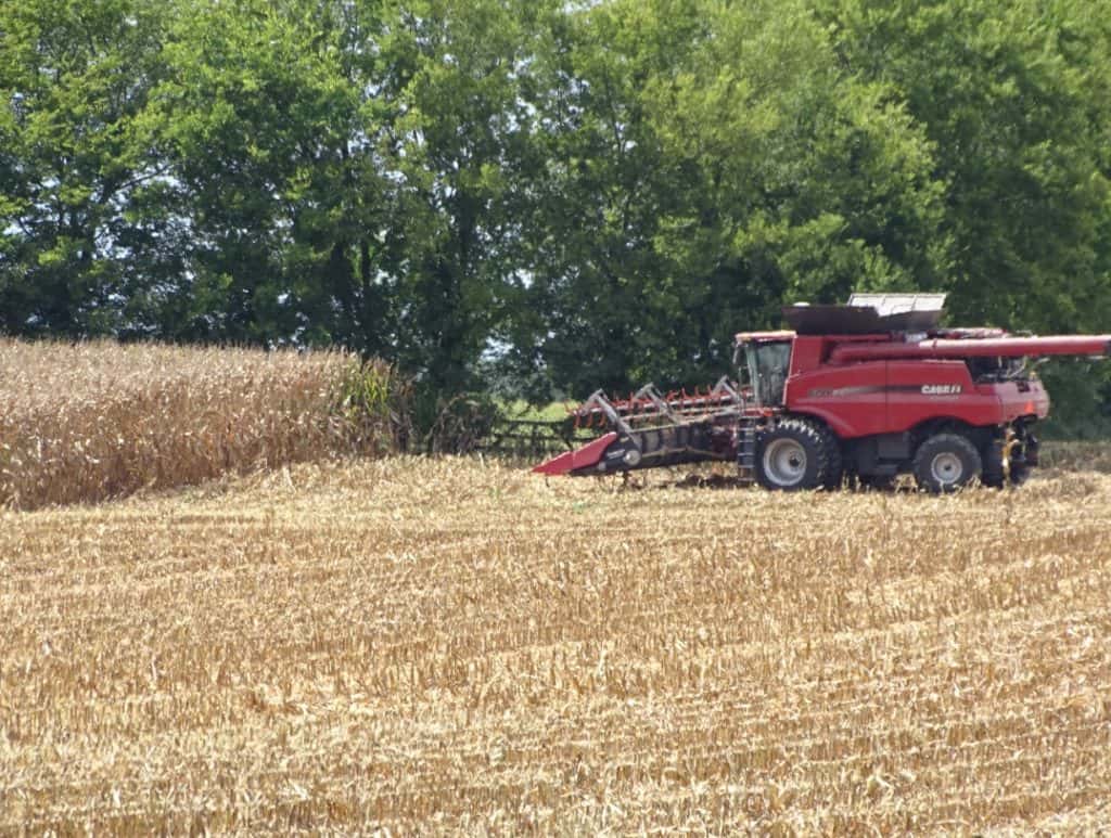 Fall Crop Harvest Producing Mixed Yields - Vimarsana News