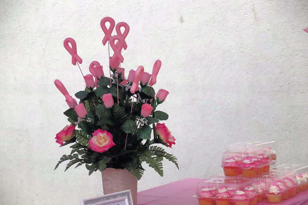 WKDZ/WHVO Hosting 13th Annual Pink Out - Vimarsana News