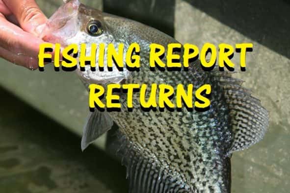 fishing-report-returns1