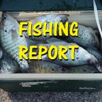 fishing-report-4-23