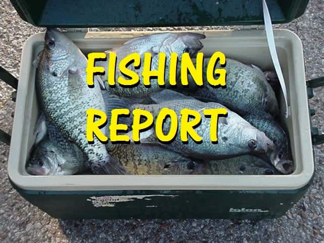 Fishing Report For Kentucky And Barkley Lakes Wkdz Radio